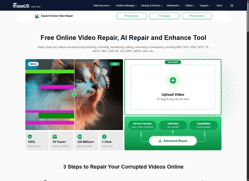 EaseUS Online Video Repair screenshot