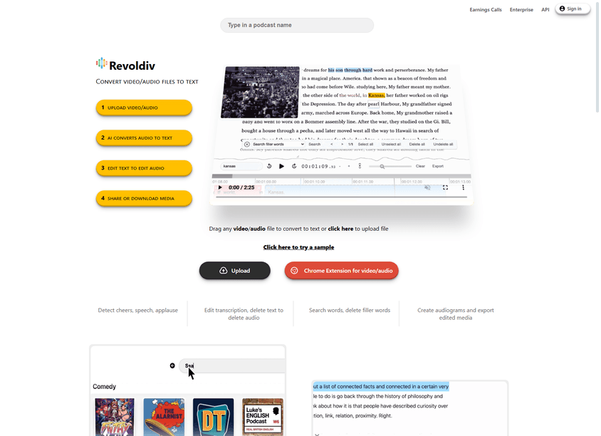 Revoldiv screenshot