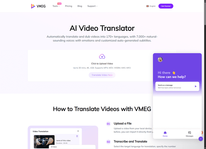 VMEG Video Translation screenshot